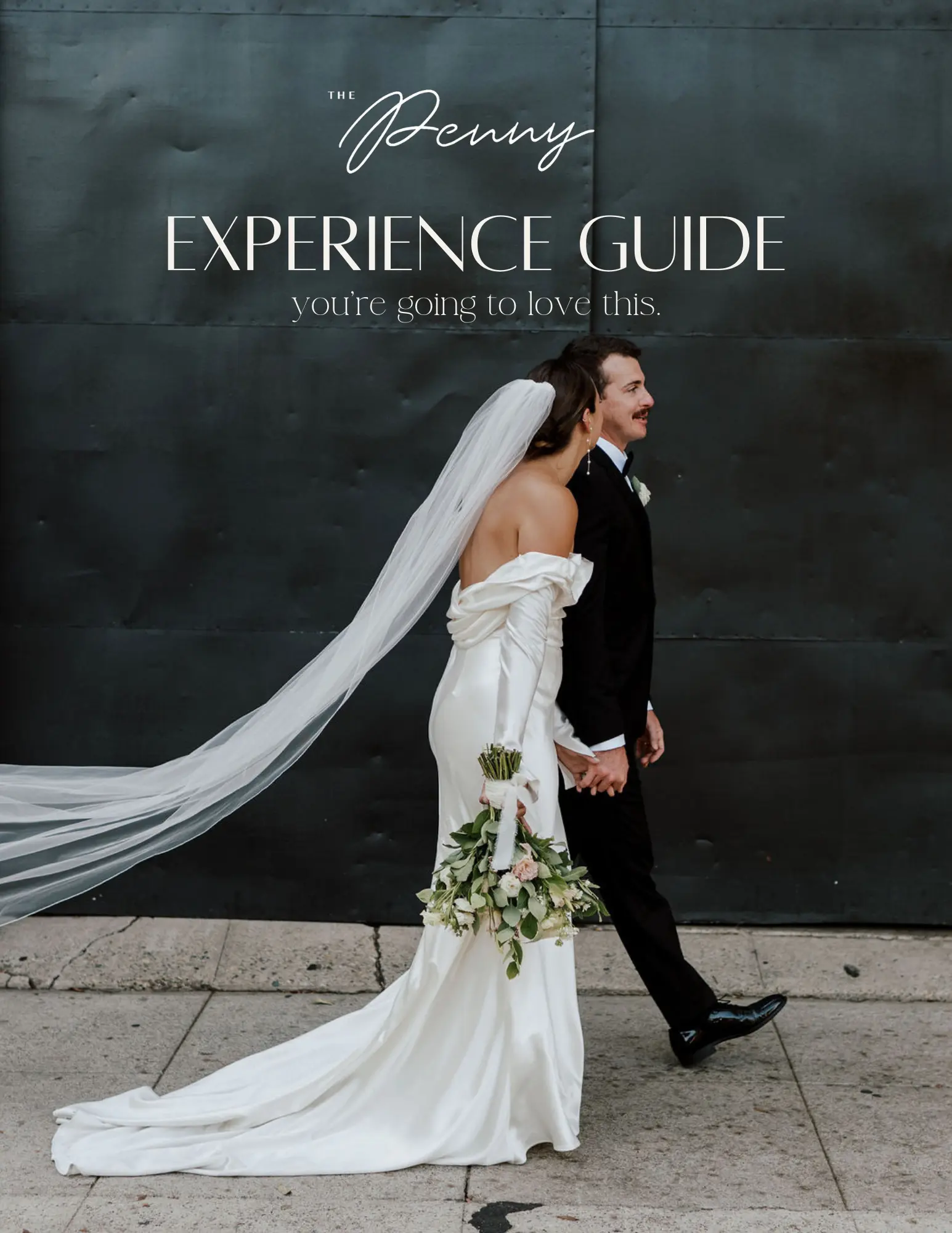 The Penny Experience Guide The Penny Experience Guide