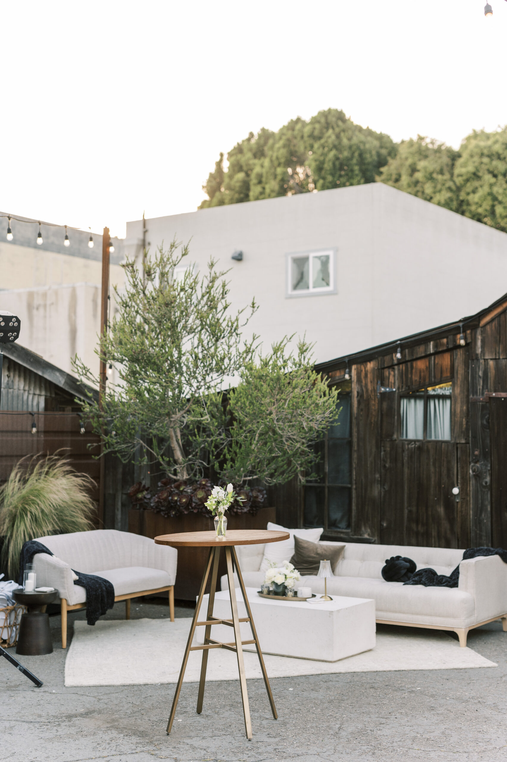 4.27.24 Meredith and Zach(8)